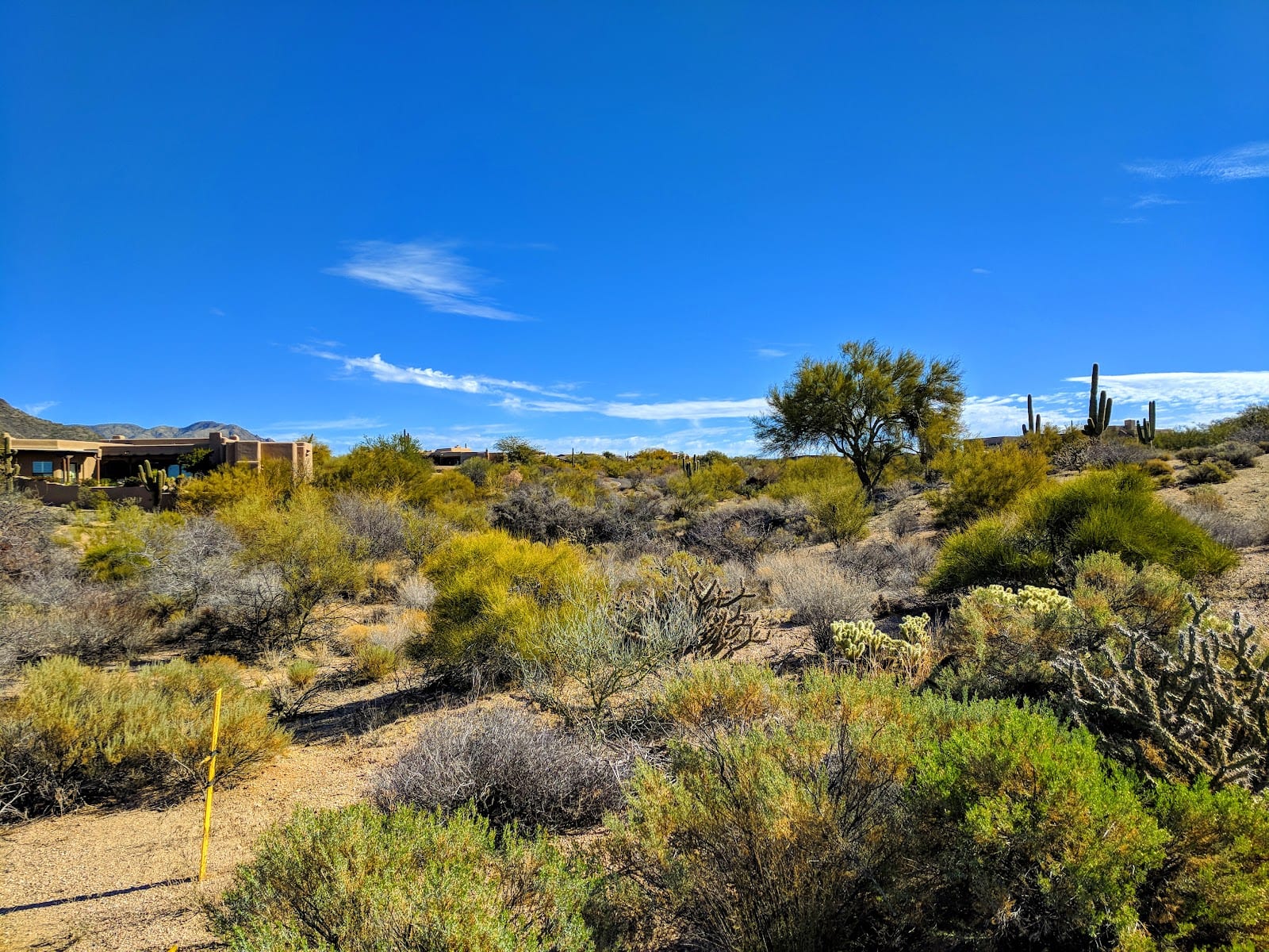 Russ Lyon Sotheby's International Realty