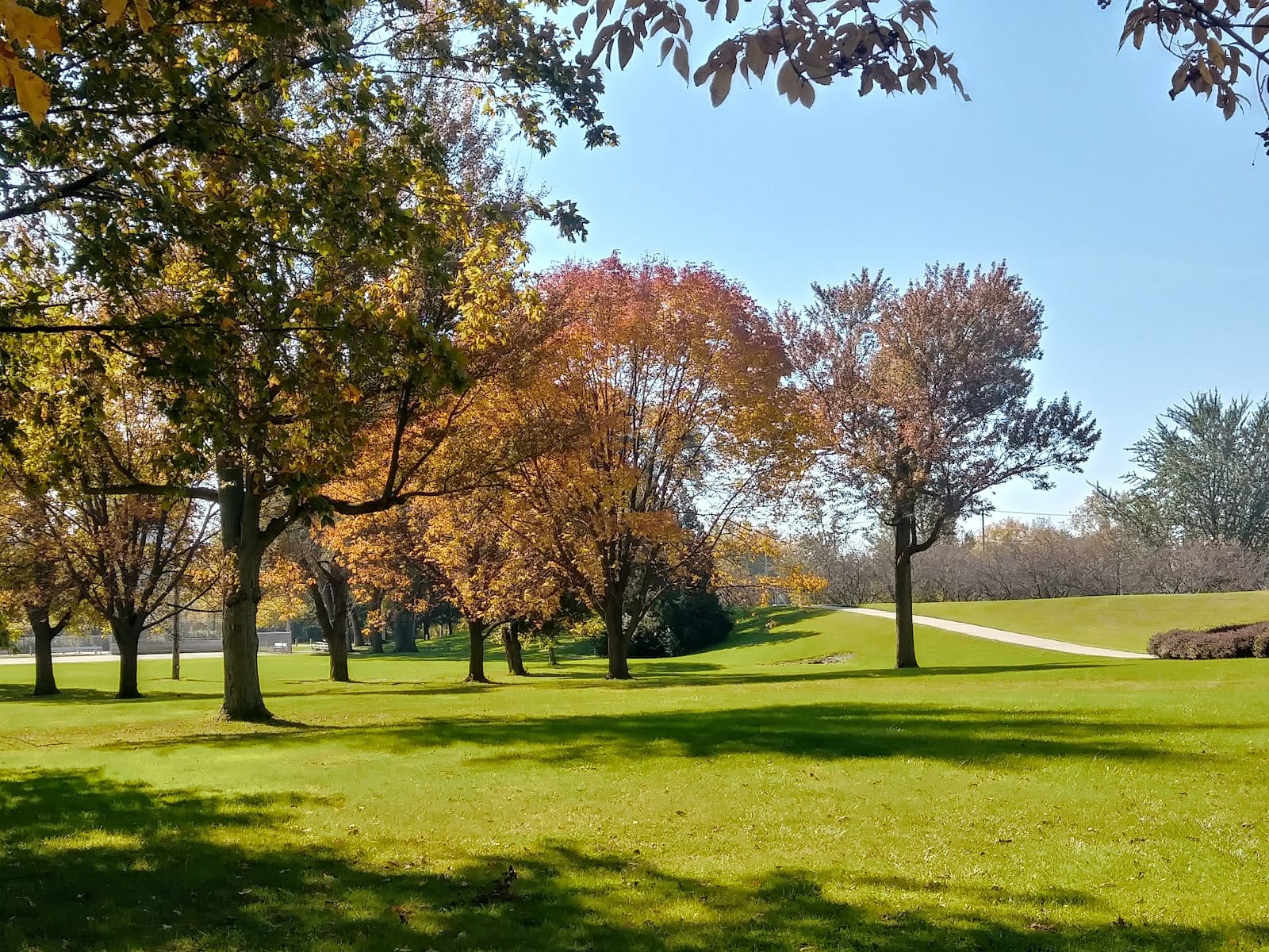 Lawton Park