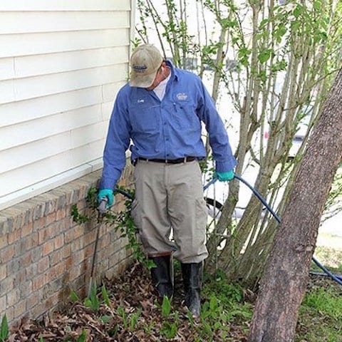 Curry's Termite, Pest & Animal Control, photo 3