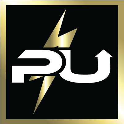 PanelUp Electric, photo 4