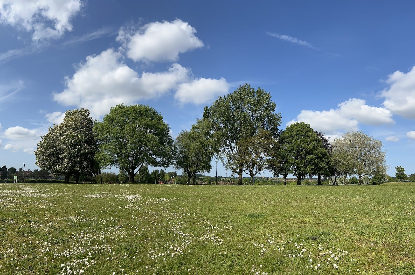 Henderson Community Park, photo 4