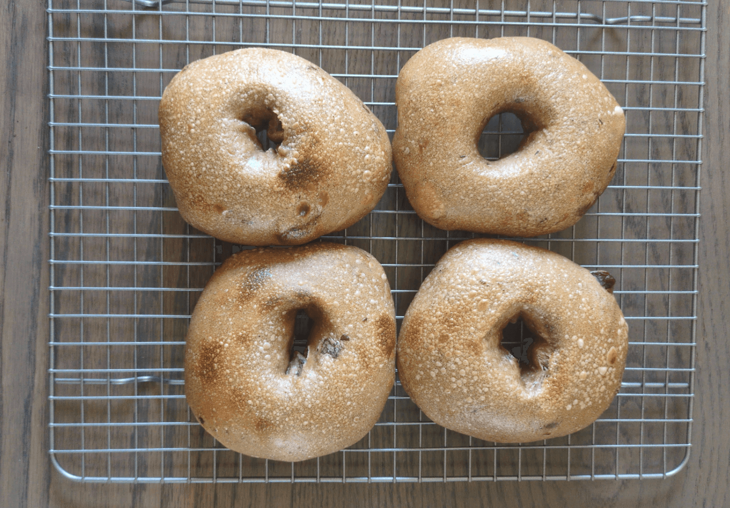 The Daily Dough