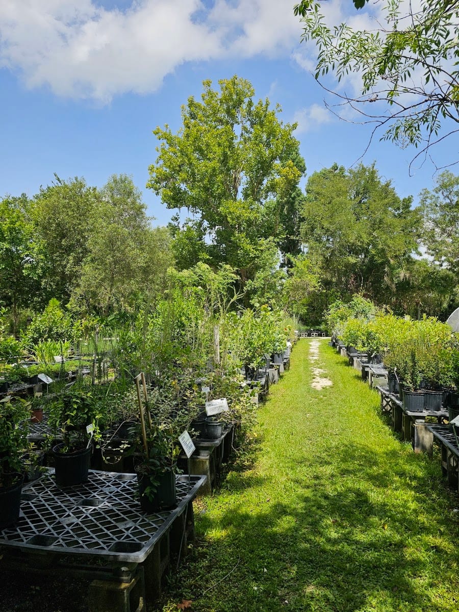 Florida Native Plants Nursery & Landscaping, photo 2