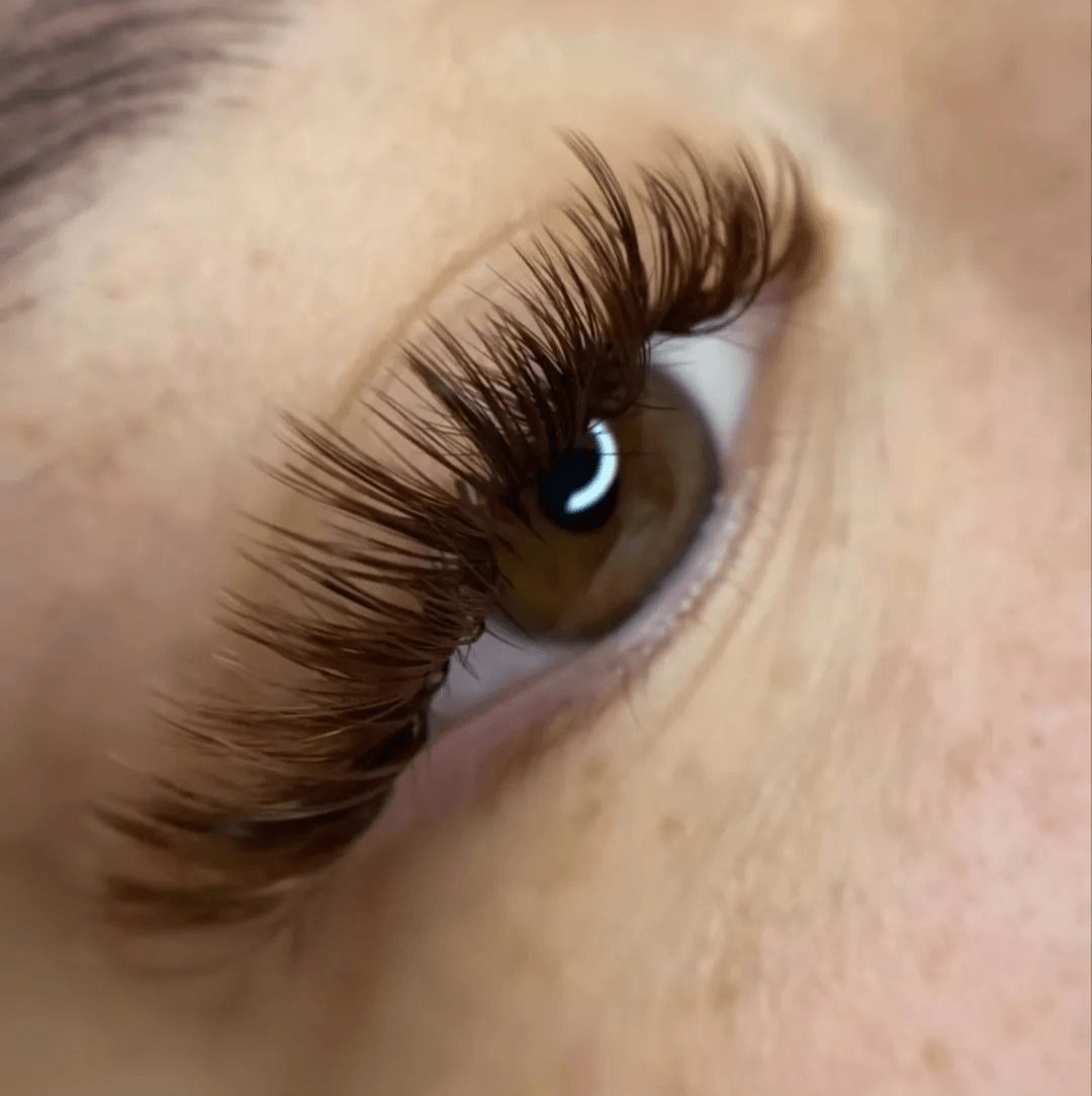 Lash Brat Beauty Bar