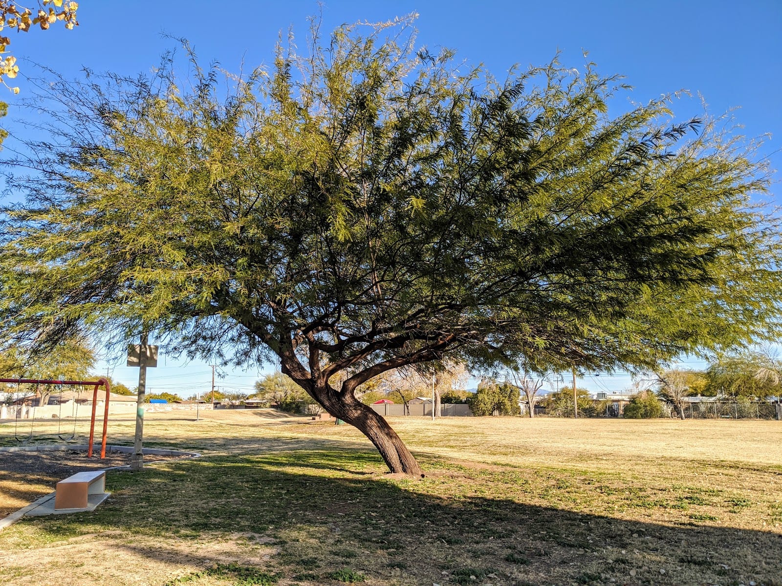 Country Club Annex Park, photo 2