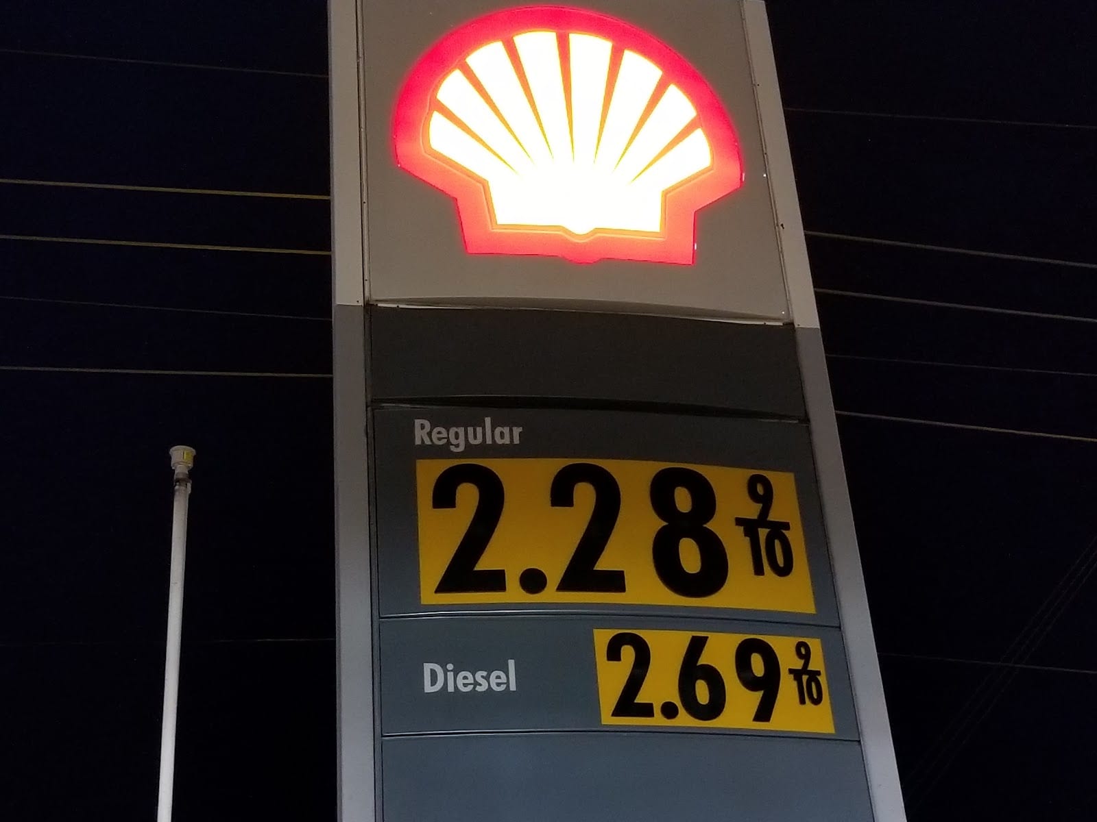 Shell, photo 4