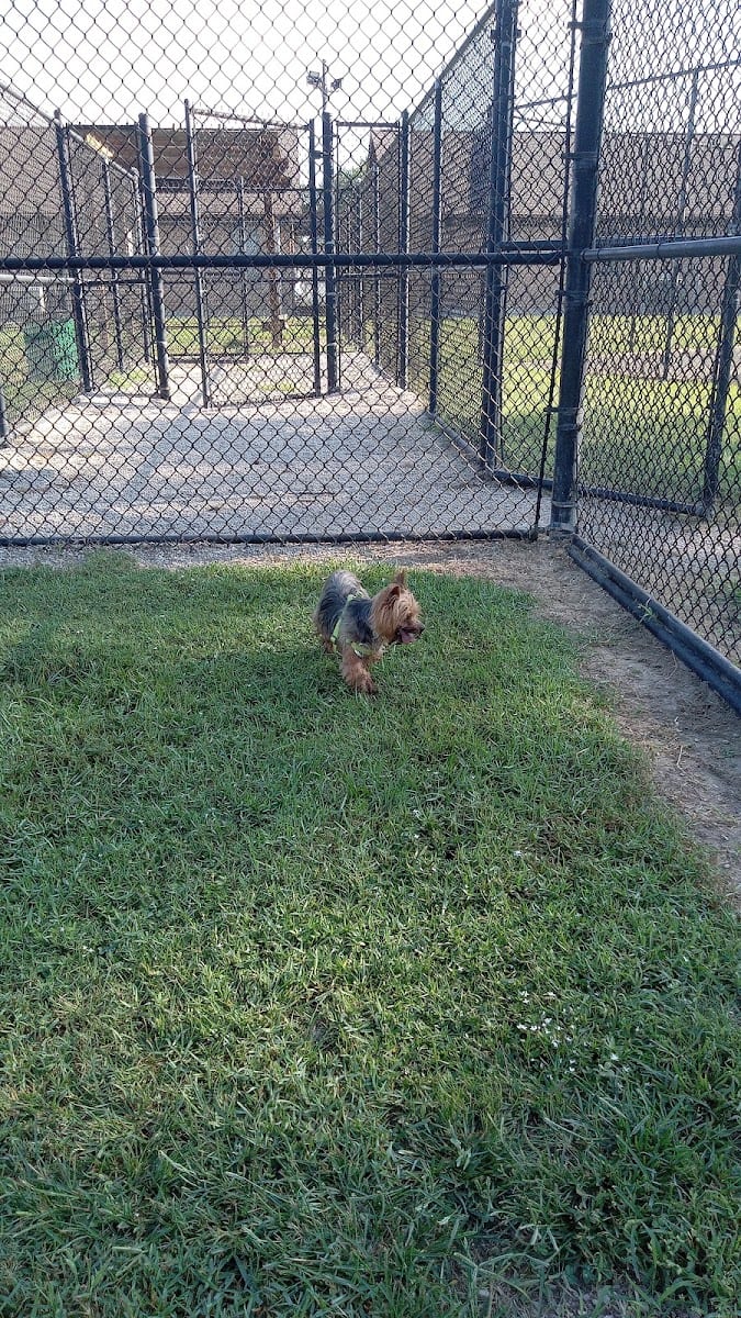 Ida Reed Dog Park, photo 3