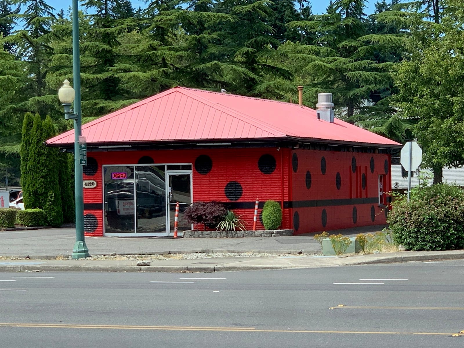 Ladybug Espresso