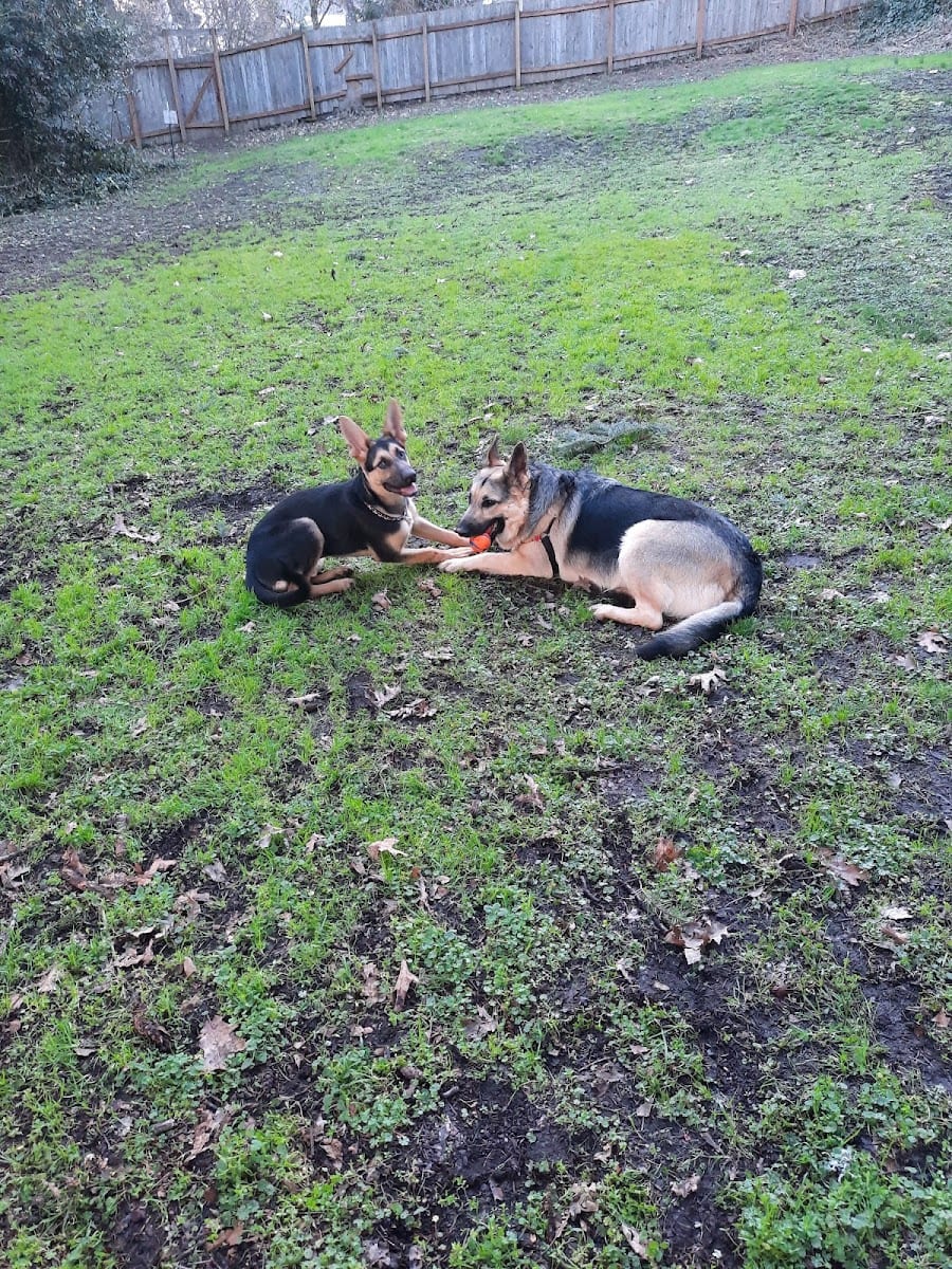 Balfour Park, photo 2