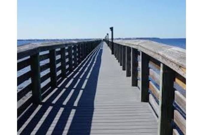 Swim, Fish, Shop More: Port Charlotte Retreat!, photo 3