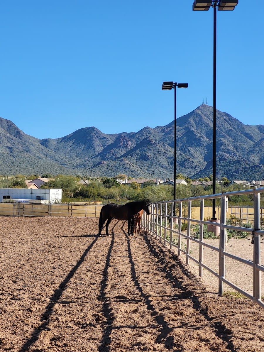 Westworld Trailhead