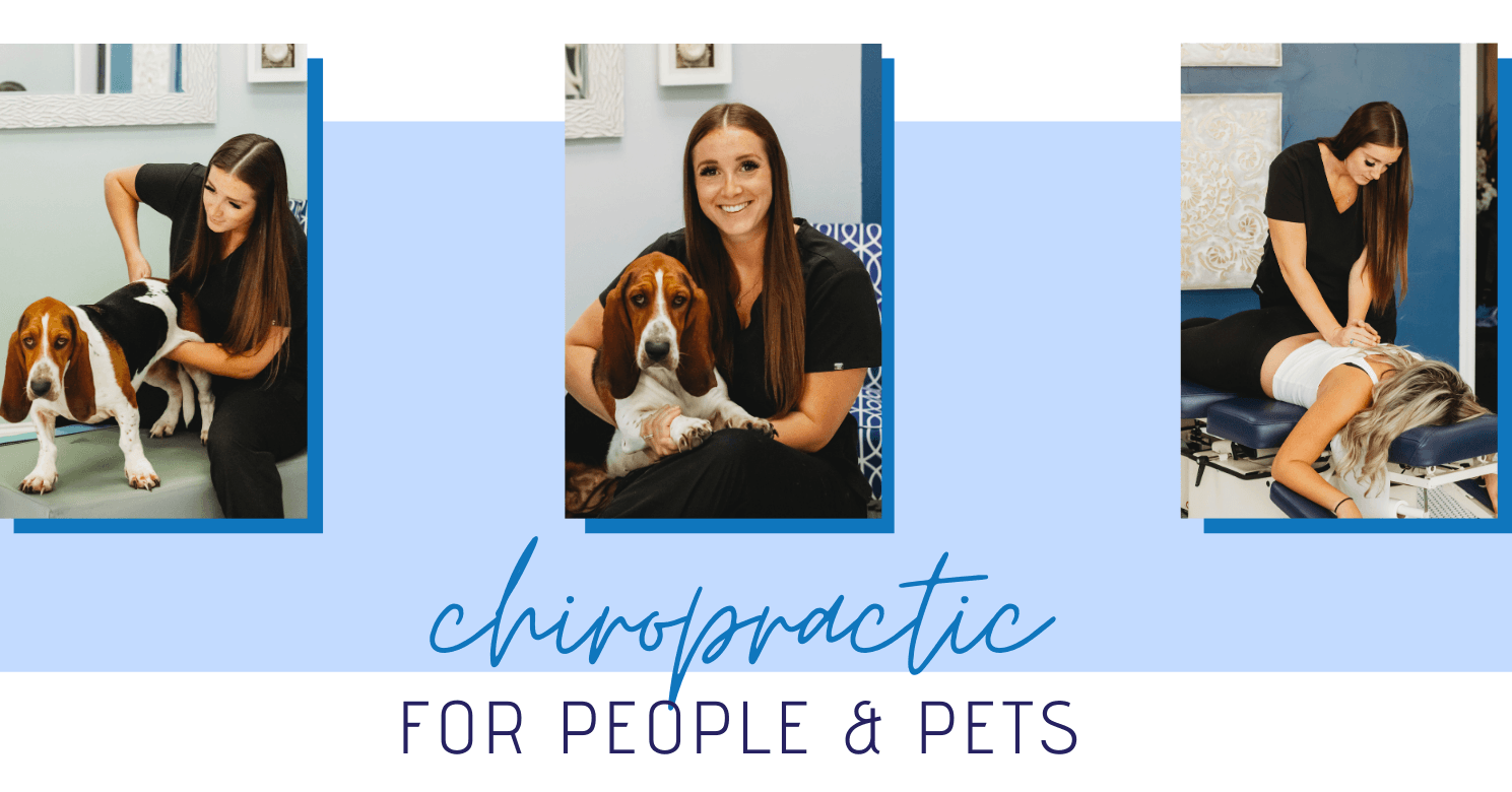 Williamson Chiropractic, photo 2