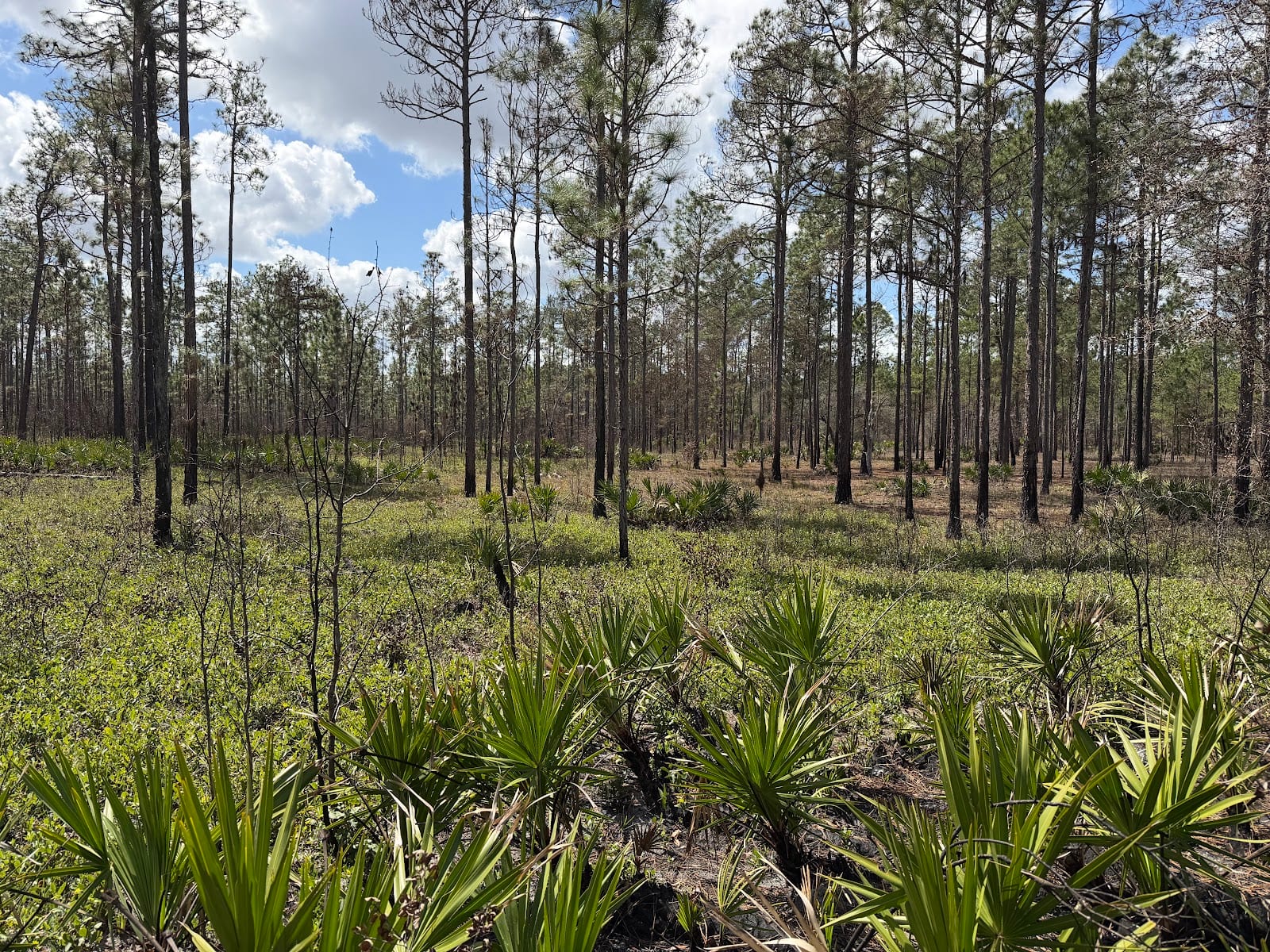 Old Jennings Recreation Area