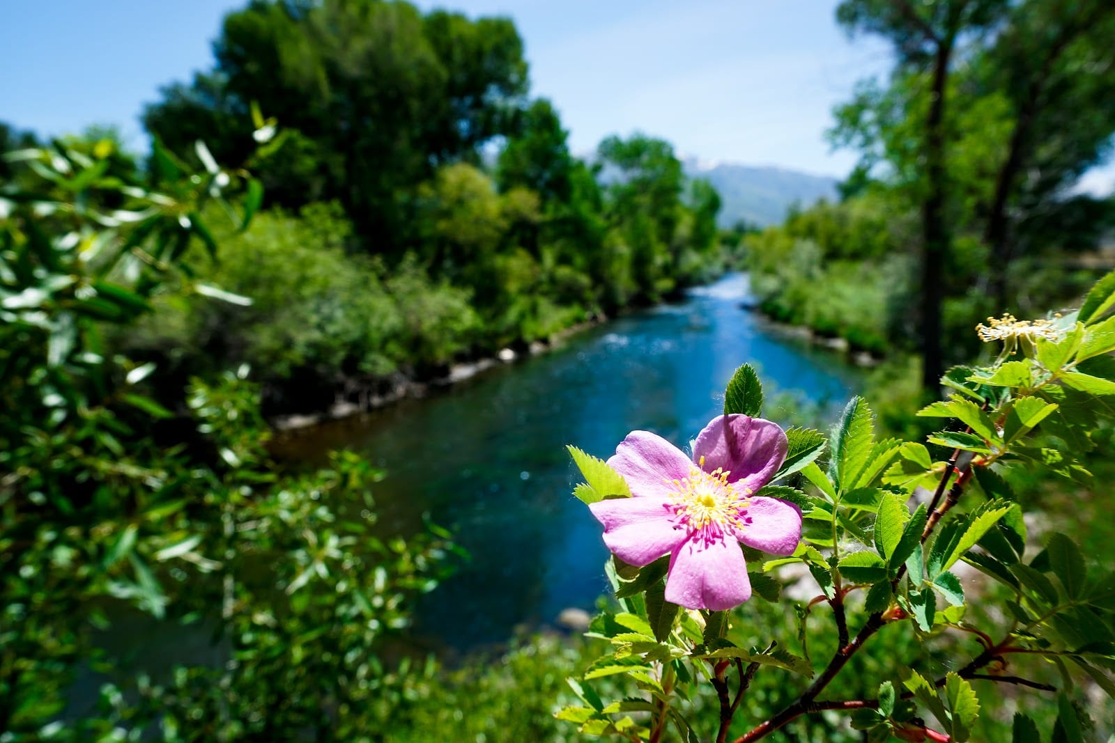 Creekside RV Park