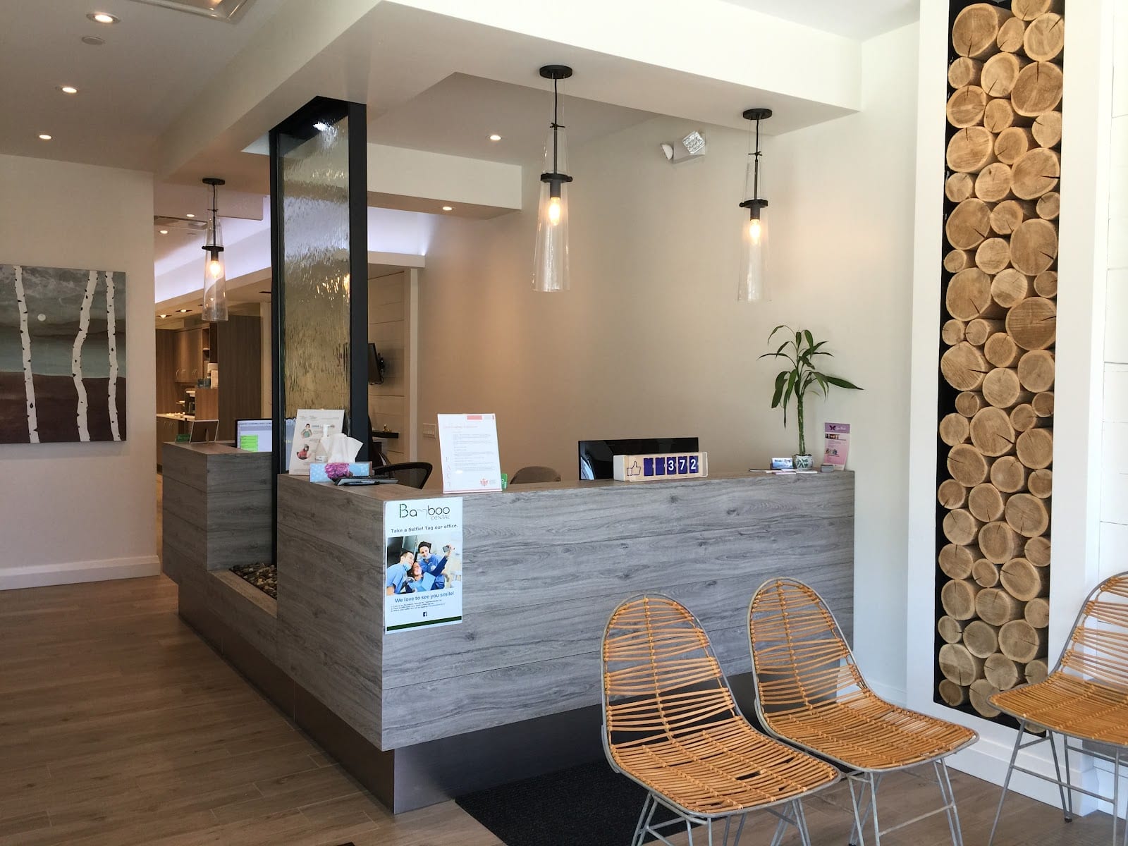 Bamboo Dental, photo 4