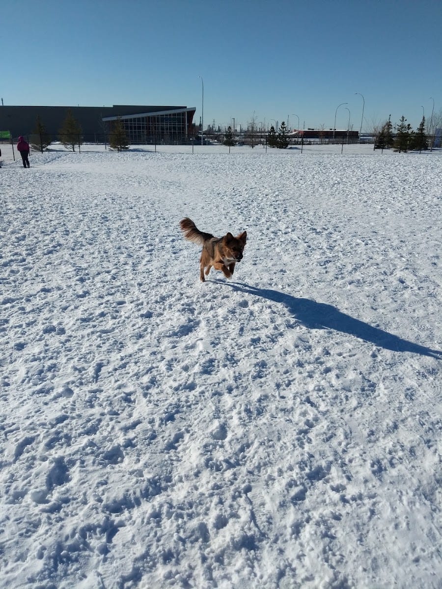Sally Stewart Park