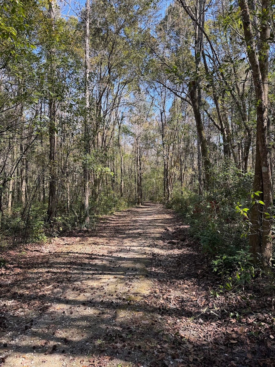 City of Green Cove Springs Wildlife Corrider Trail