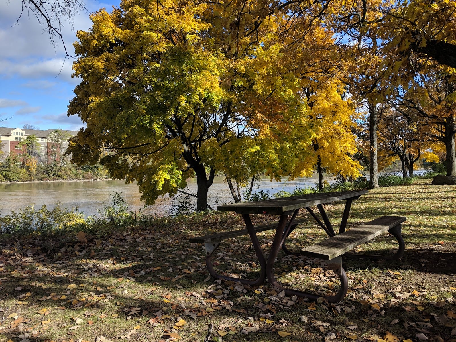 Bausch & Lomb Riverside Park, photo 3