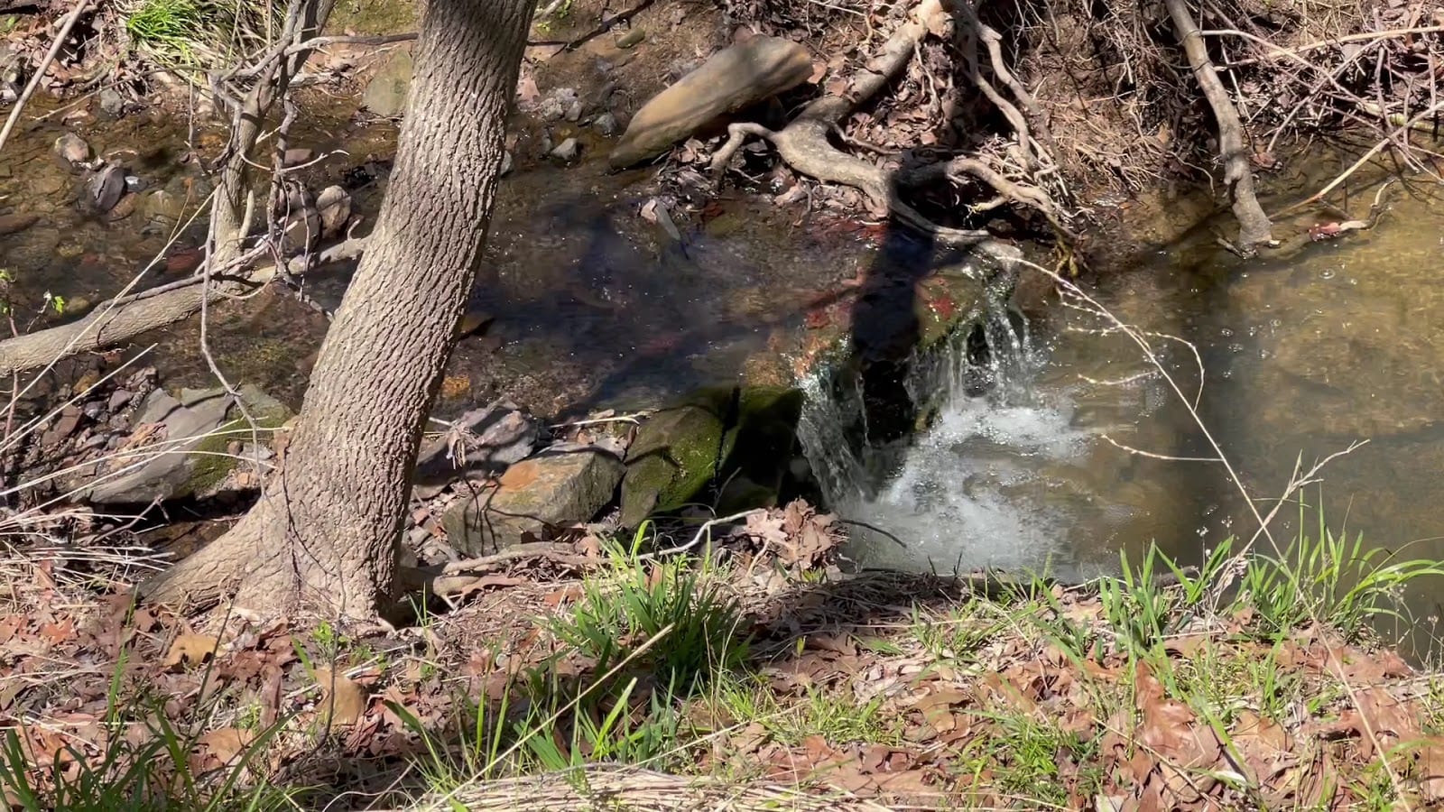 Rocky Point Trail, photo 2