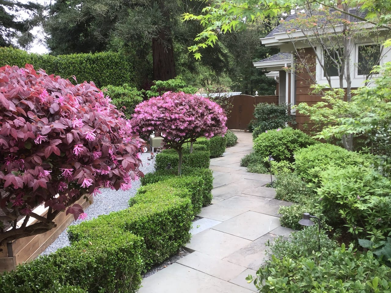 Napa Roots Landscaping License #1105607, photo 2