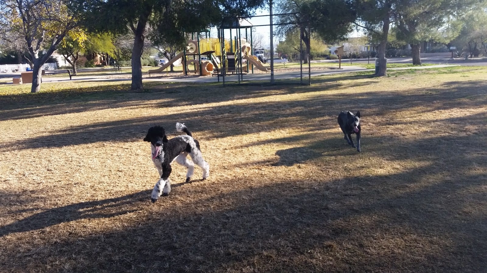Mitchell Park, photo 2
