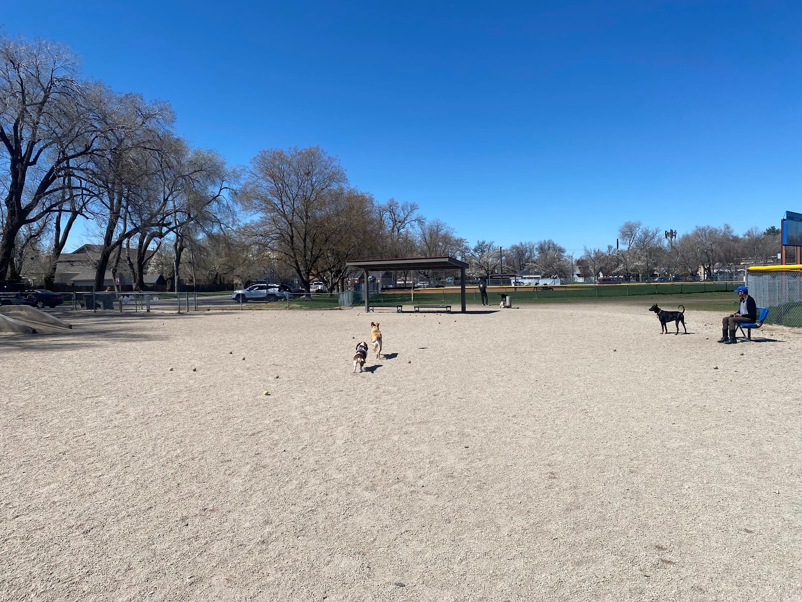 Herman Franks Park