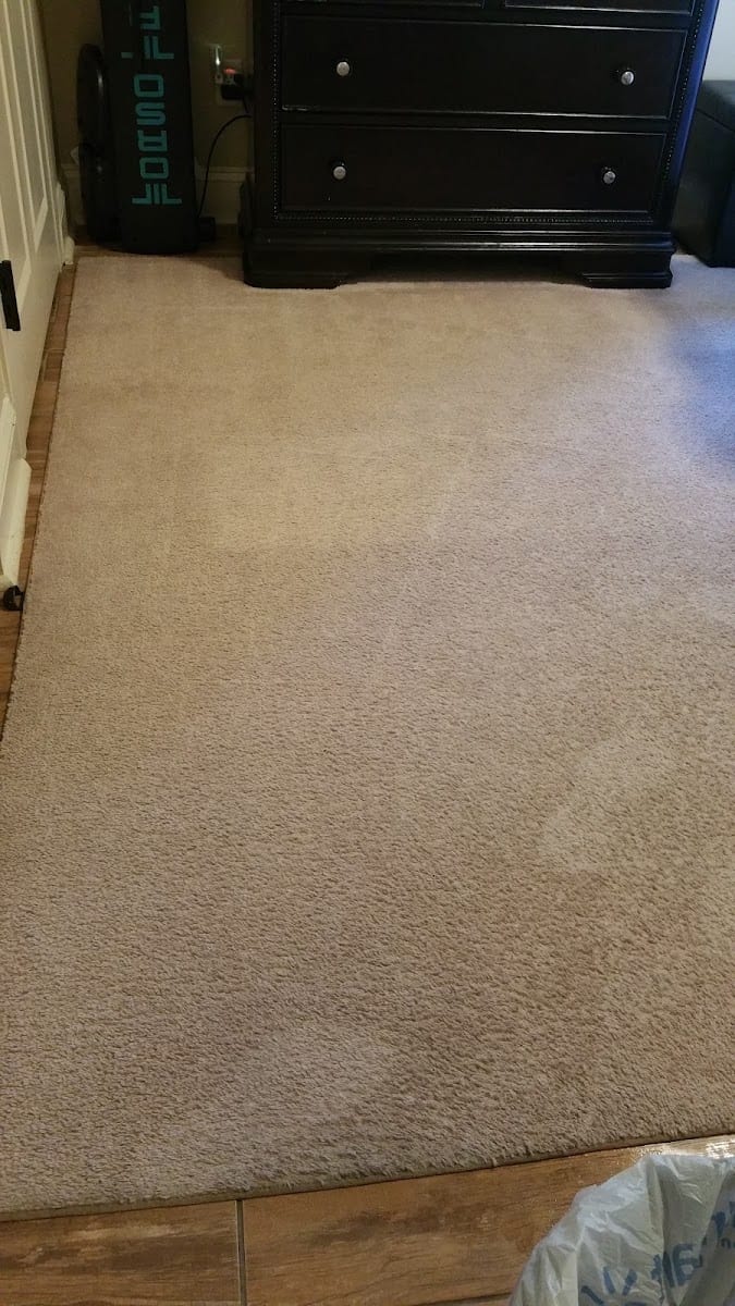Pro Systems Clean Care, photo 2