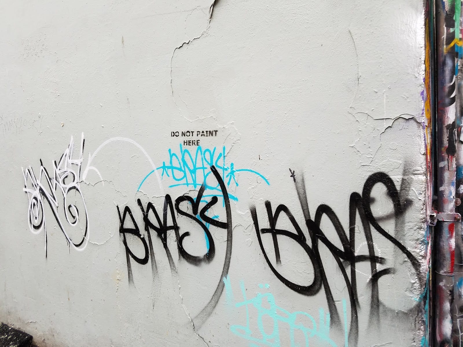 Olympia Free Wall, photo 3
