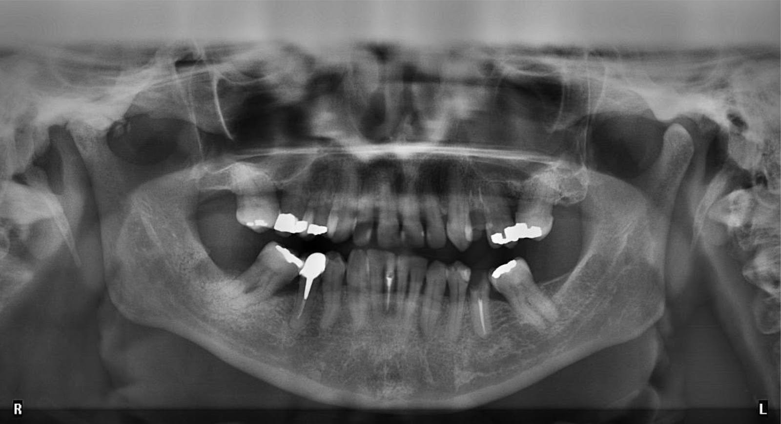 Emerald Forest Dental Clinic, photo 4