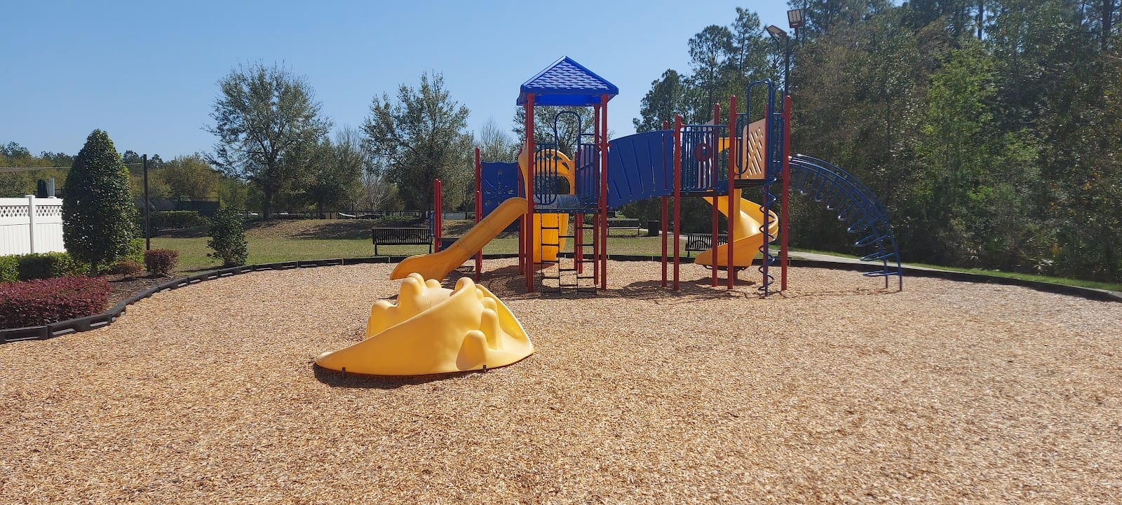 Forest Hammock Community Pool