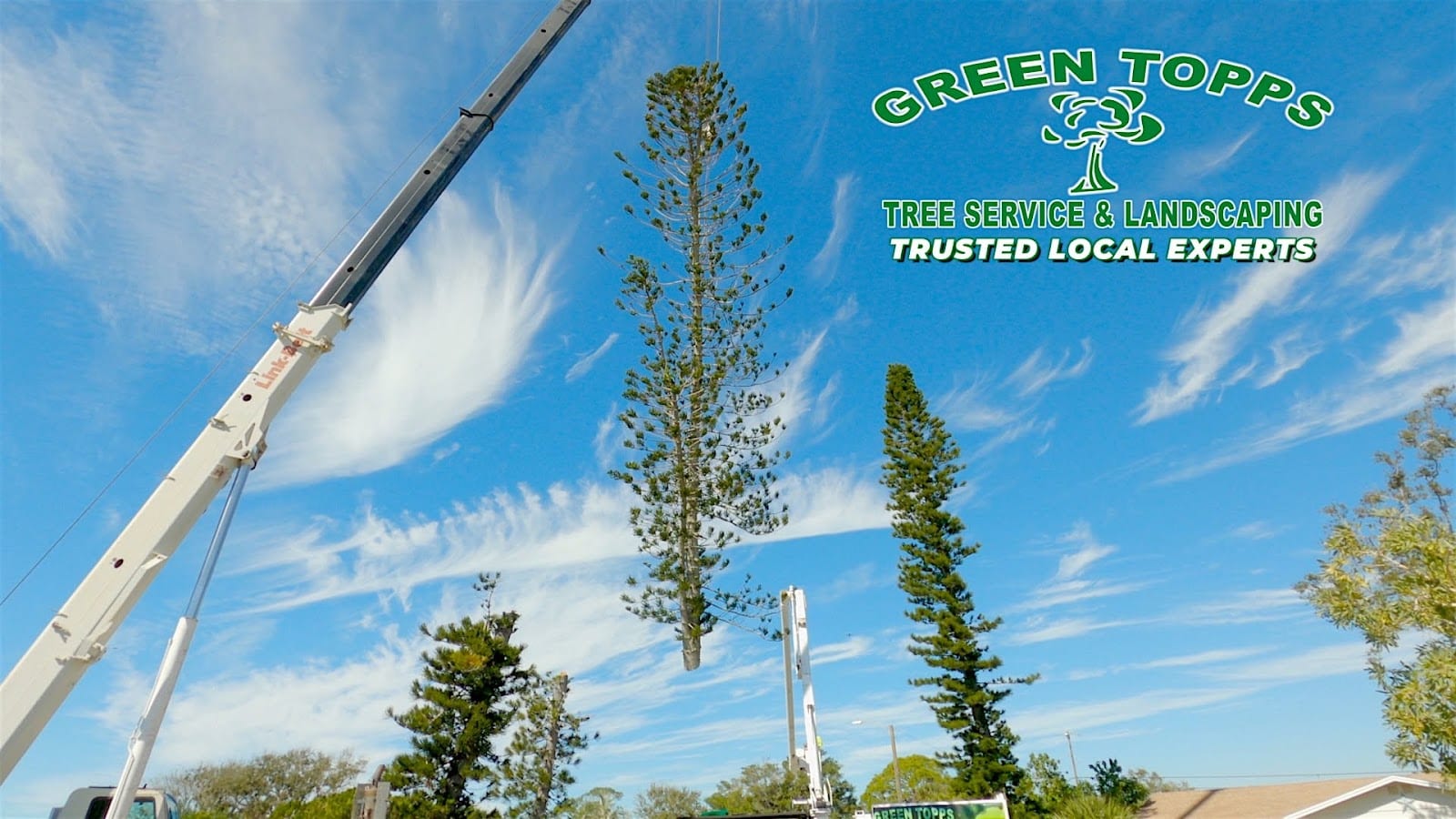 Green Topps Tree Service & Landscaping, photo 3
