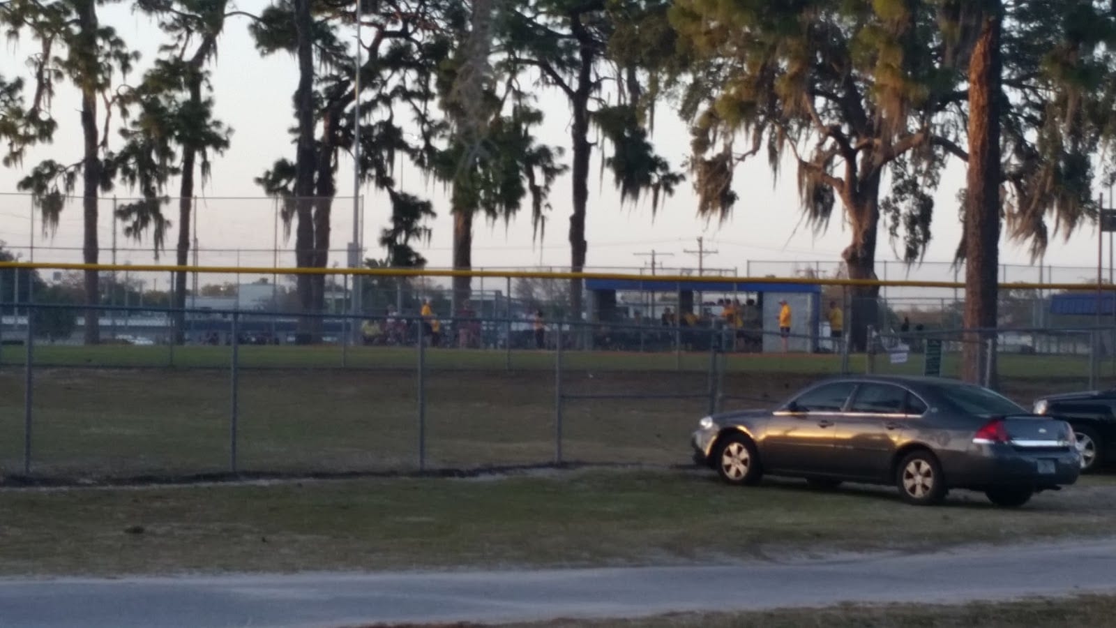 Tampa Parks and Recreation Department, photo 2