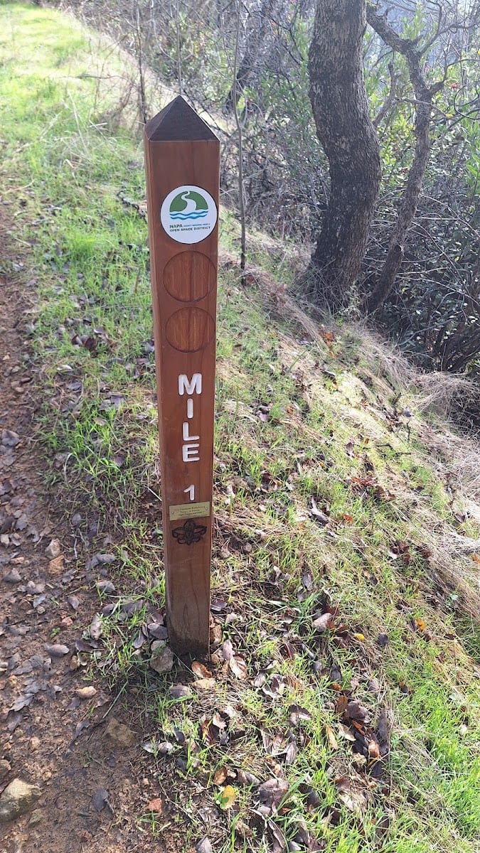 Oat Hill Mine Trail One Mile Marker, photo 3