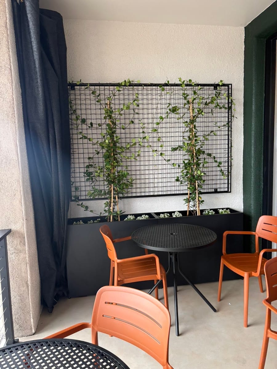 Scented Leaf Tea House, photo 3