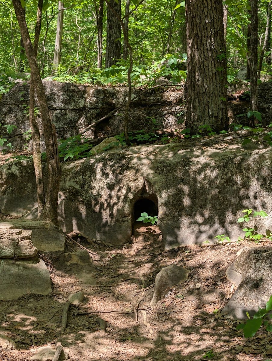 Spring Trail