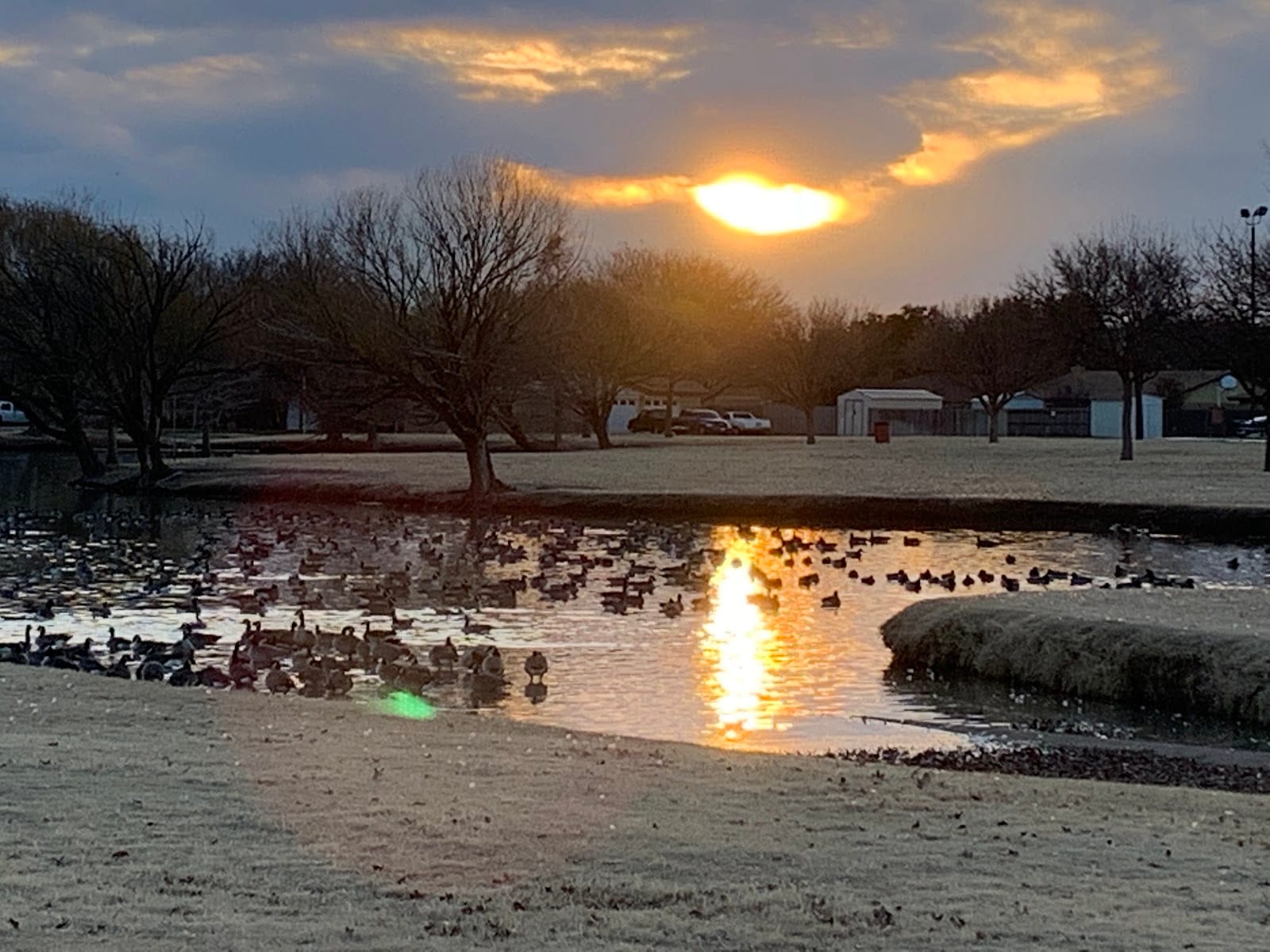 Phil Hoel Park