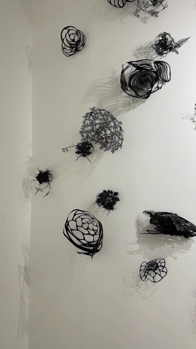 L.L. Contemporary, photo 3