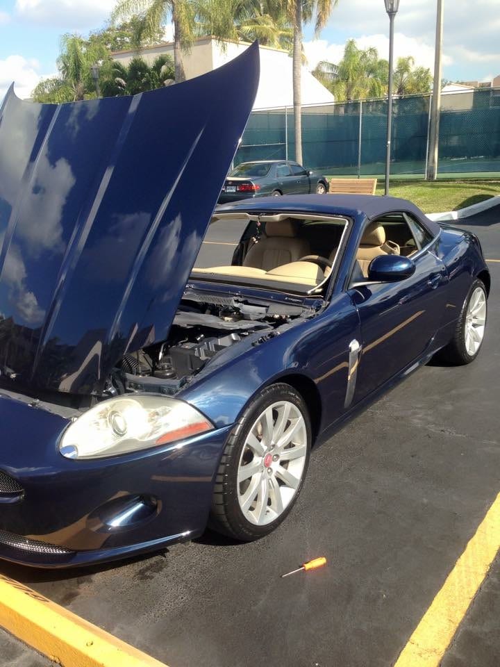 Sunny shine auto glass