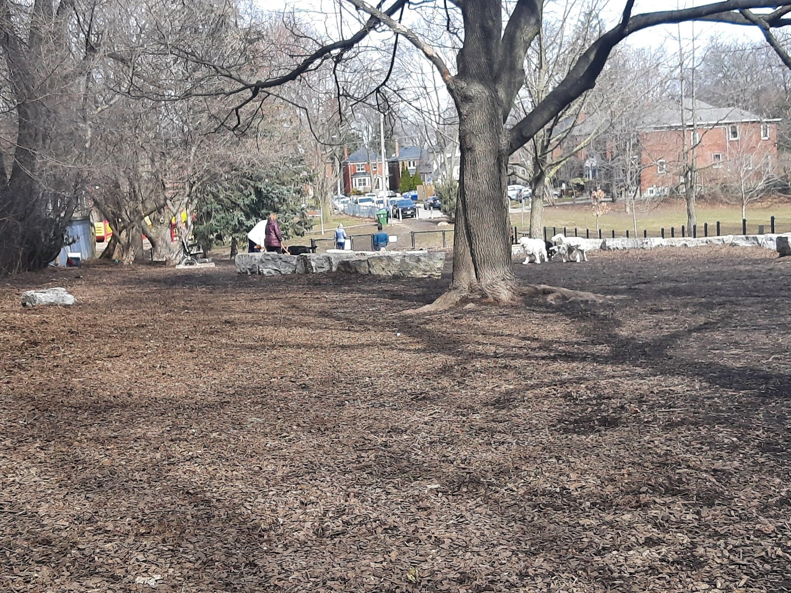Sandy Bruce Park