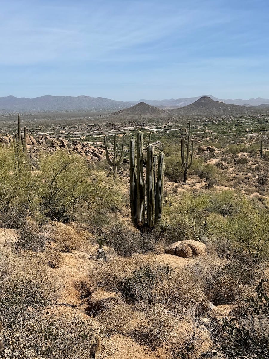 Pinnacle Peak Main Trail