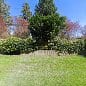 Willow Pond Farm