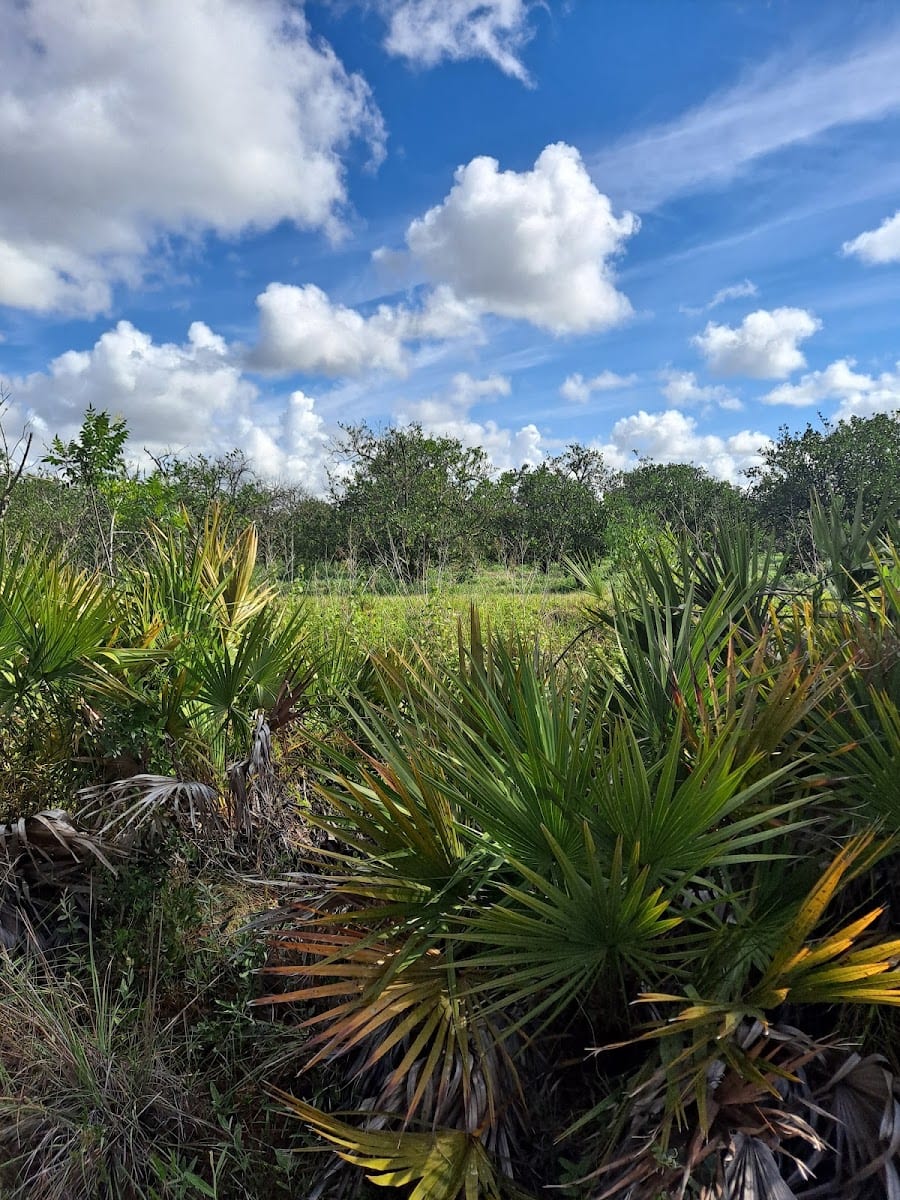 Shell Creek Preserve
