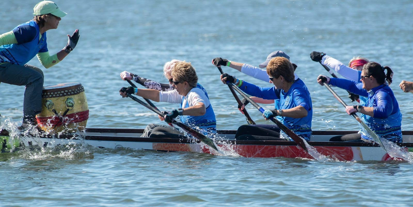 Charlotte Harbor Dragons