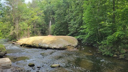 Hayes Well Spring