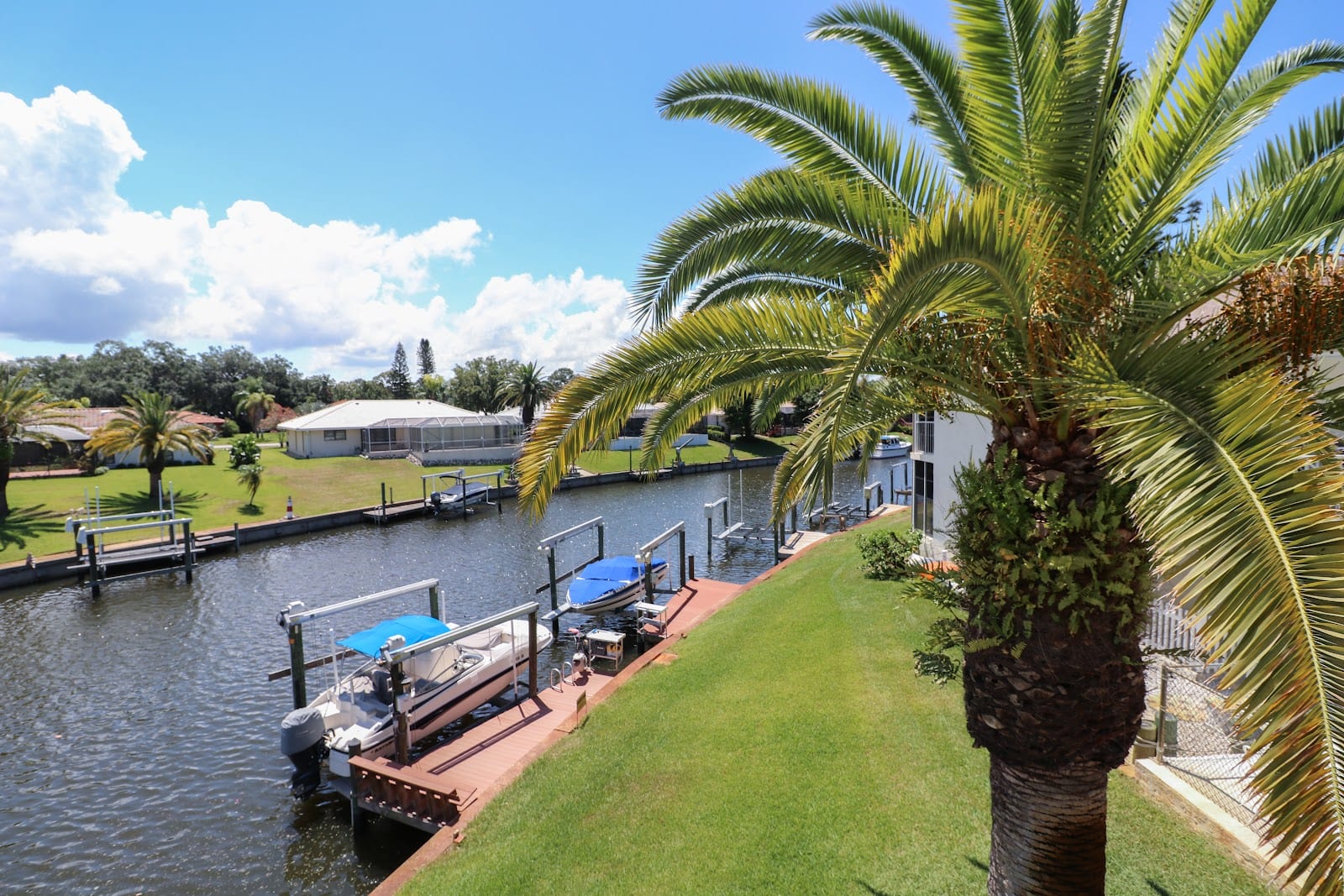 Paradise Exclusive Real Estate, photo 3