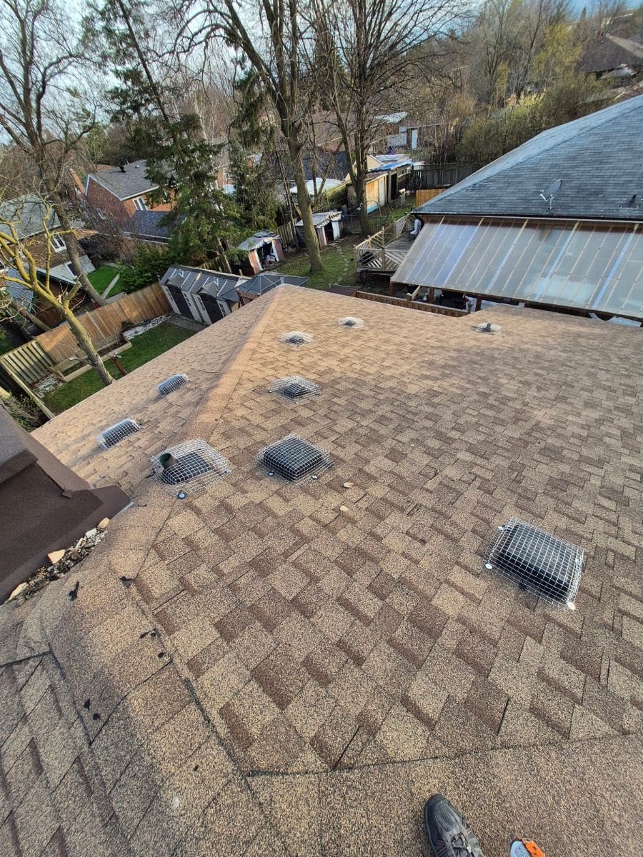 Kia pestcontrol&wildlife removal, photo 2