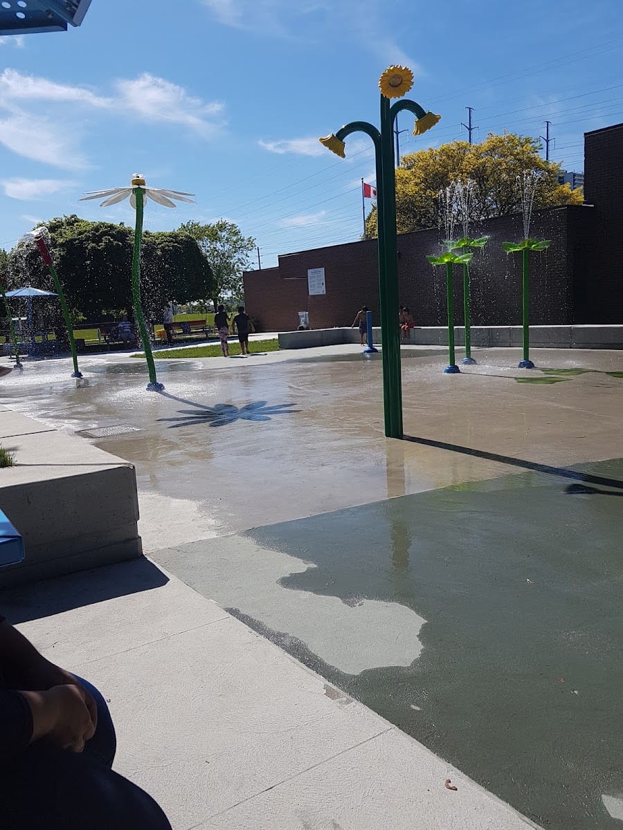 Playground Paradise