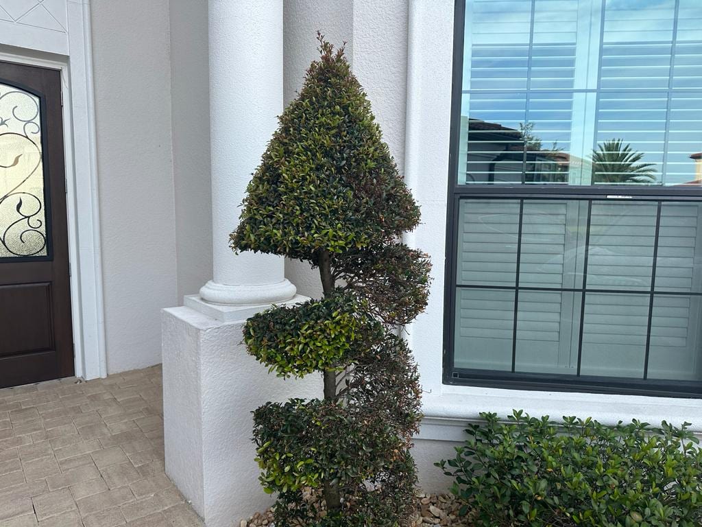 EcoTech Pest Control Services