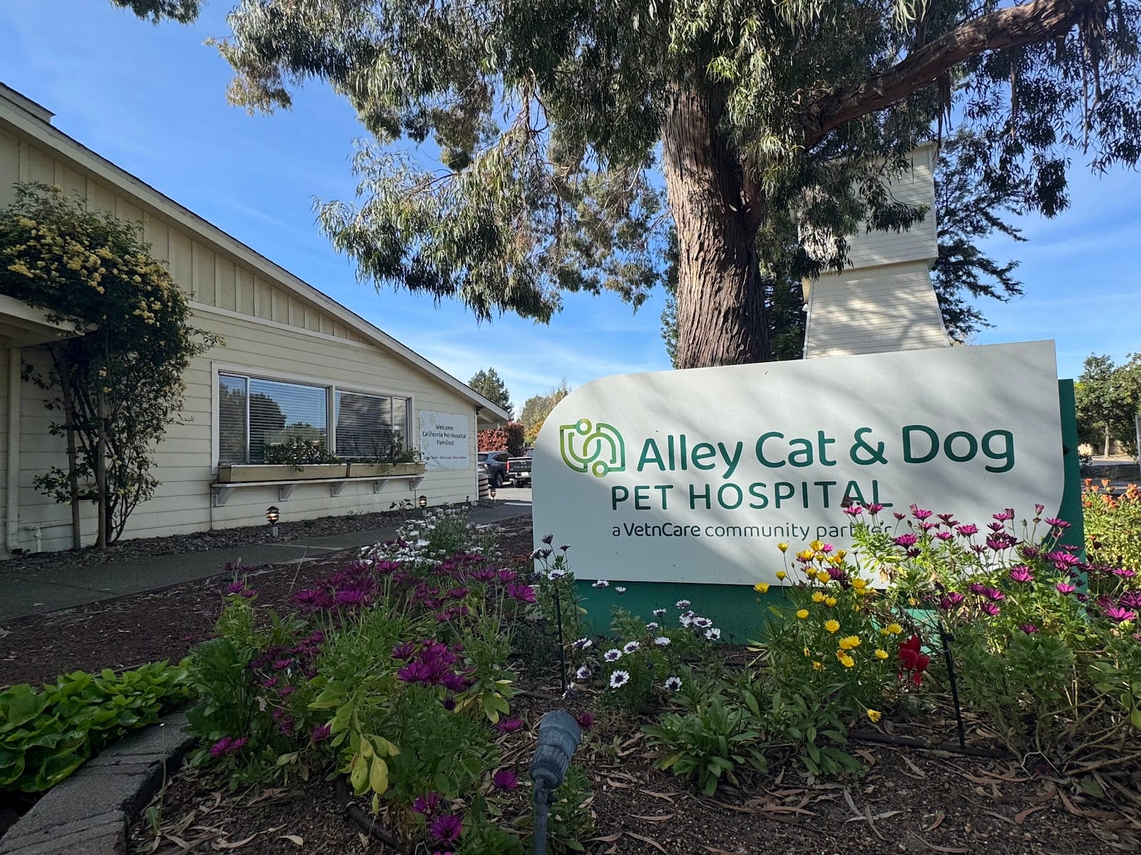 Alley Cat & Dog Pet Hospital, photo 2