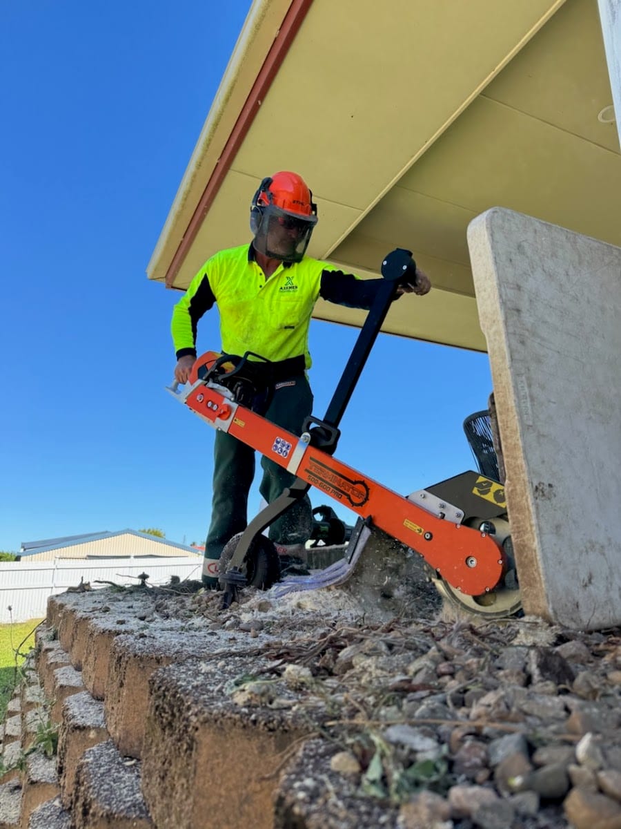 Axemen Stumpgrinding & Lawn Care, photo 4